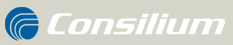 Salwico logo