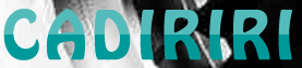 WERK-SCHOTT logo